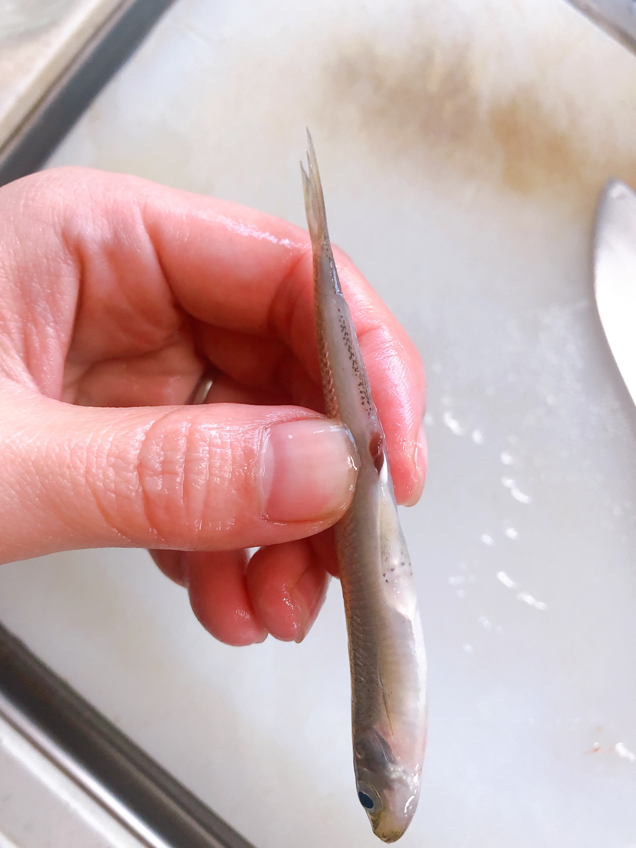 ワカサギの下処理 レシピ 作り方 By Chaika 楽天レシピ ワカサギの下処理 レシピ 作り方 By Chaika 楽天レシピ