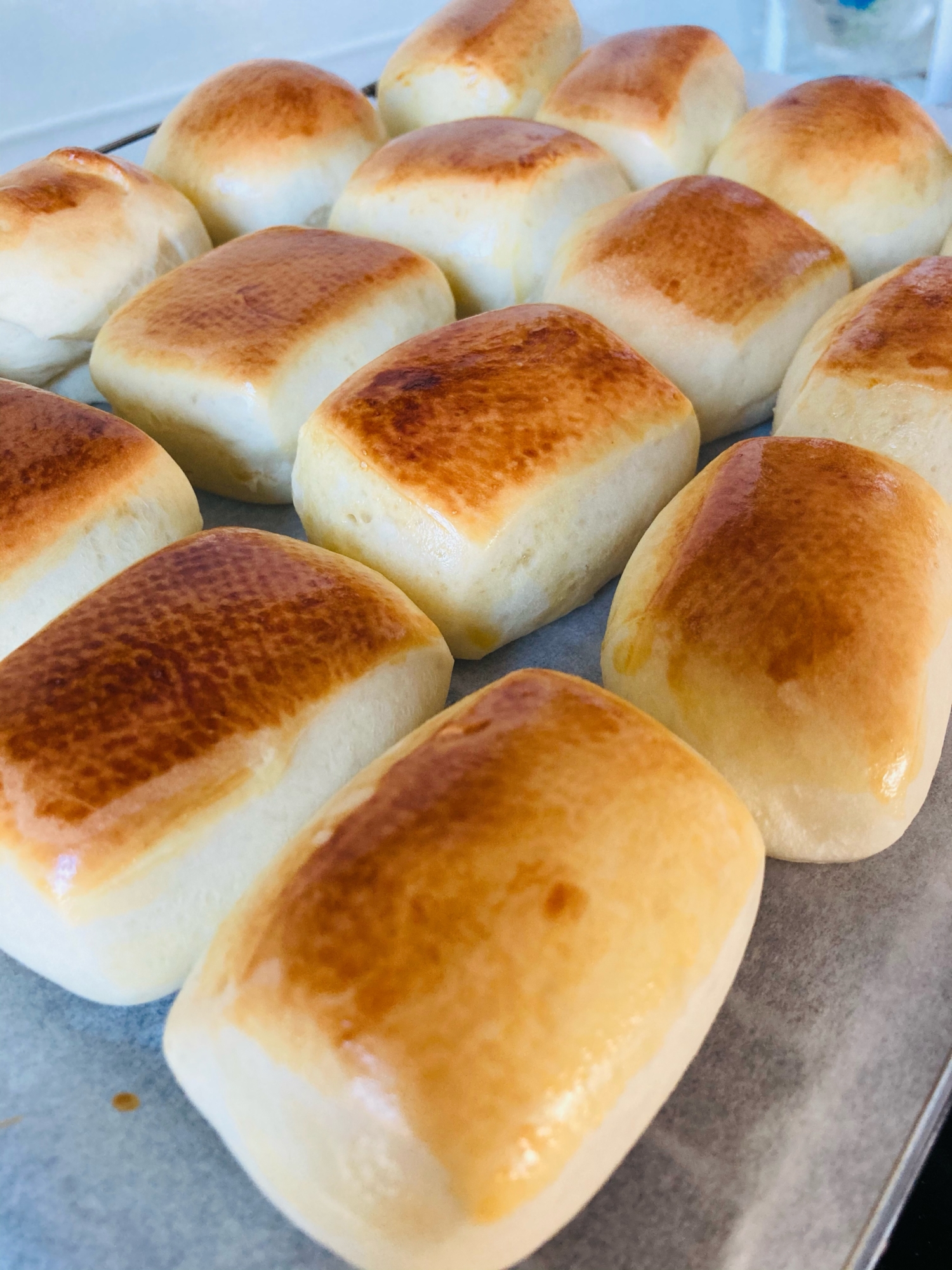 成形不要 Hbで作るコストコ風ディナーロール レシピ 作り方 By コロン S Kitchen 楽天レシピ 成形不要 Hbで作るコストコ風ディナーロール レシピ 作り方 By コロン S Kitchen 楽天レシピ