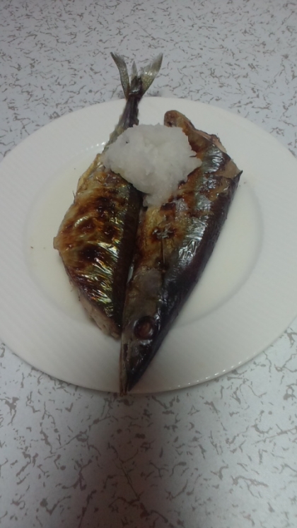 夕食に美味しい秋刀魚の塩焼き作ったよ♪お魚食べると集中して無言になってしまうわ（笑）金君&ナナたんはお魚の匂いに反応する？ビビは全然で猫じゃないみたいｗ笑