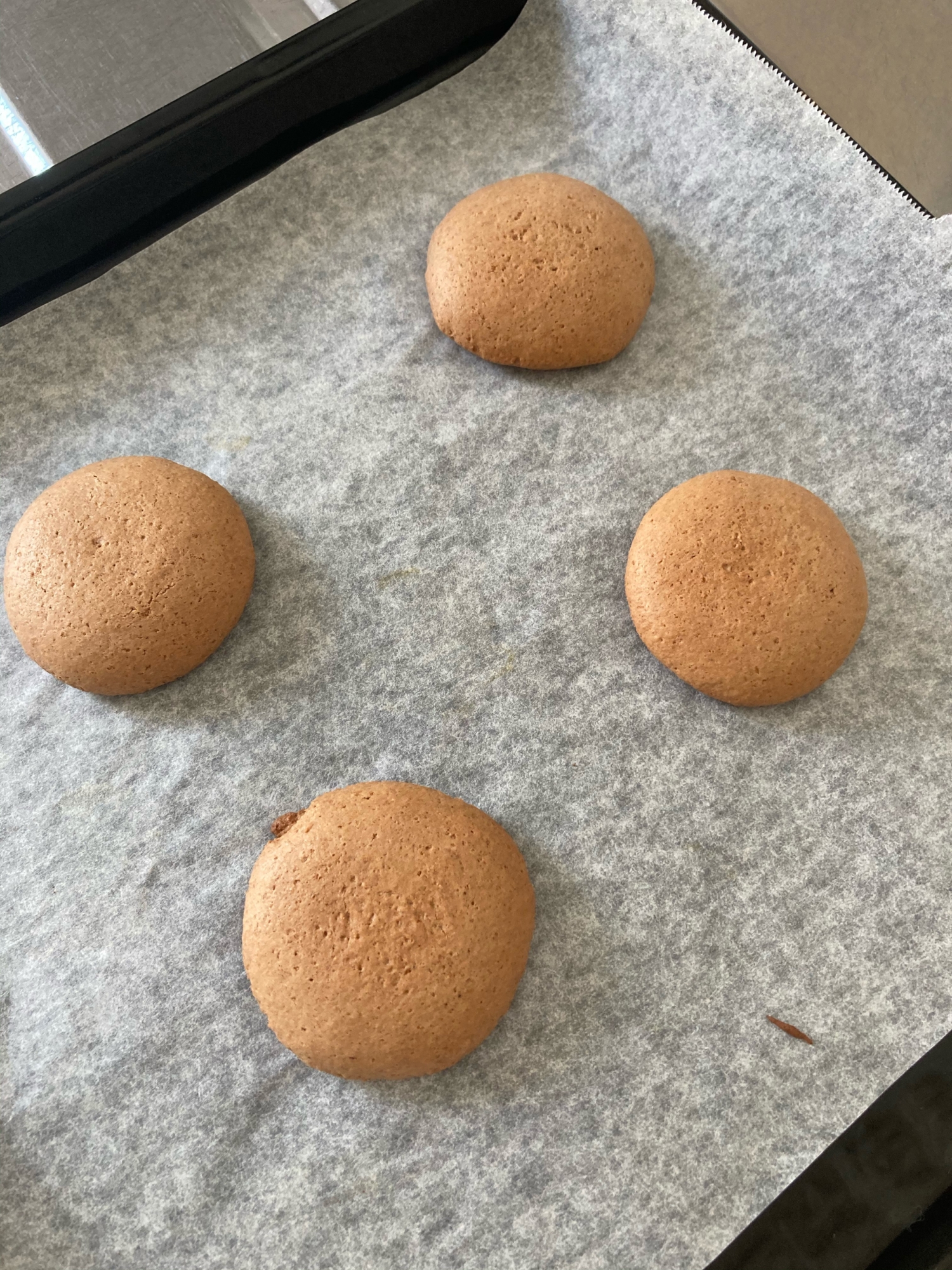 ホットケーキミックスで作るココアクッキー