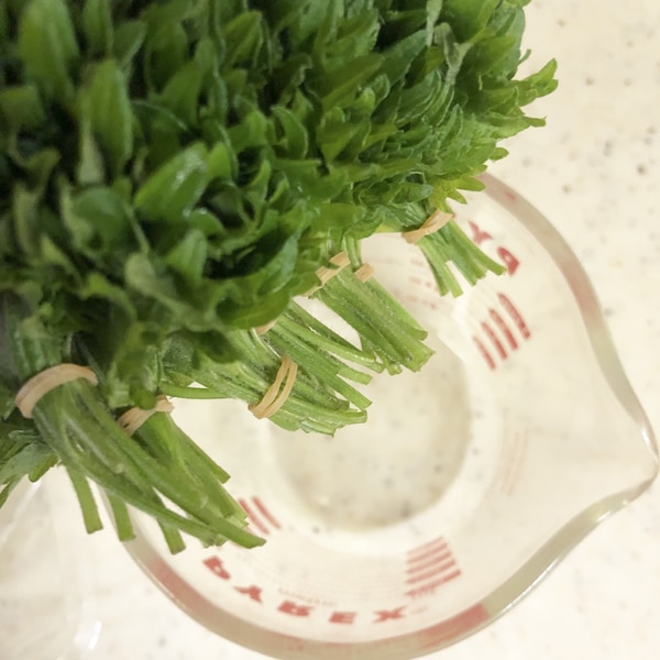 大葉 シソ を長持ちさせる保存方法 お役立ちメモ レシピ 作り方 By M H 楽天レシピ 大葉 シソ を長持ちさせる保存方法 お役立ちメモ レシピ 作り方 By M H 楽天レシピ