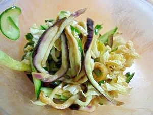 ナスと白菜ときゅうりのポンマヨサラダ