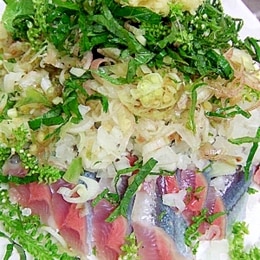 青魚の刺身レシピ 作り方の人気順 簡単料理の楽天レシピ 青魚の刺身レシピ 作り方の人気順 簡単料理の楽天レシピ