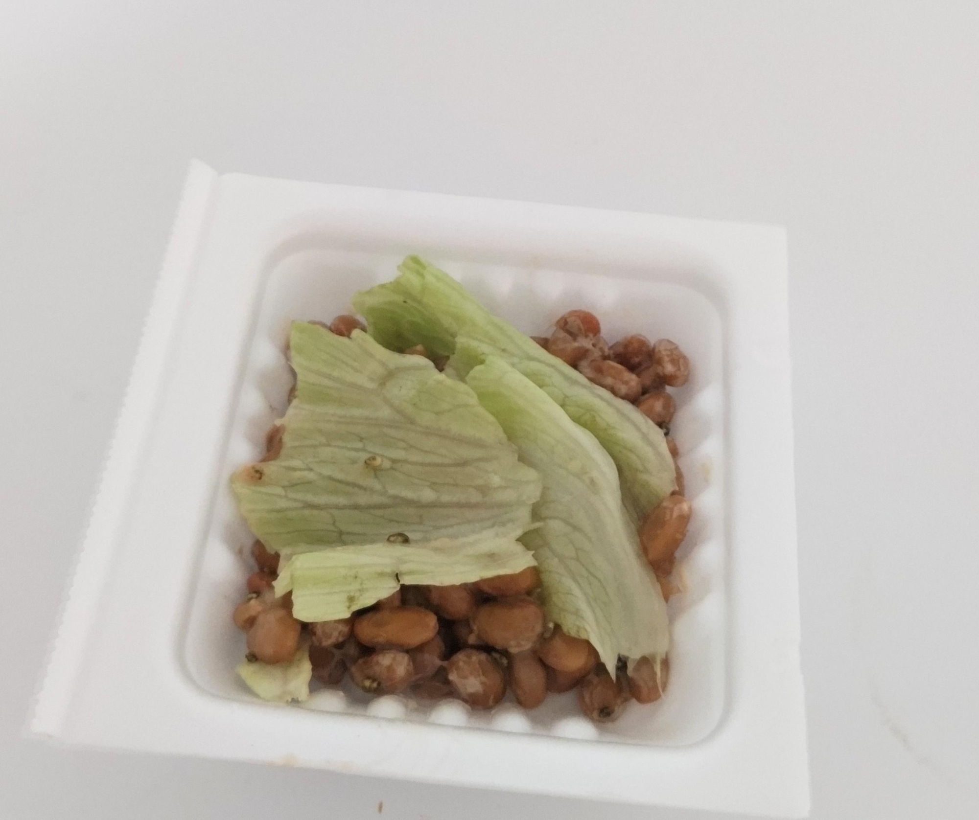 レタスとごまの納豆