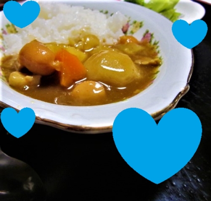 鶏ももと新たまねぎの具ごろごろカレー