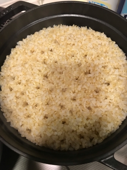 玄米 ストウブ炊飯