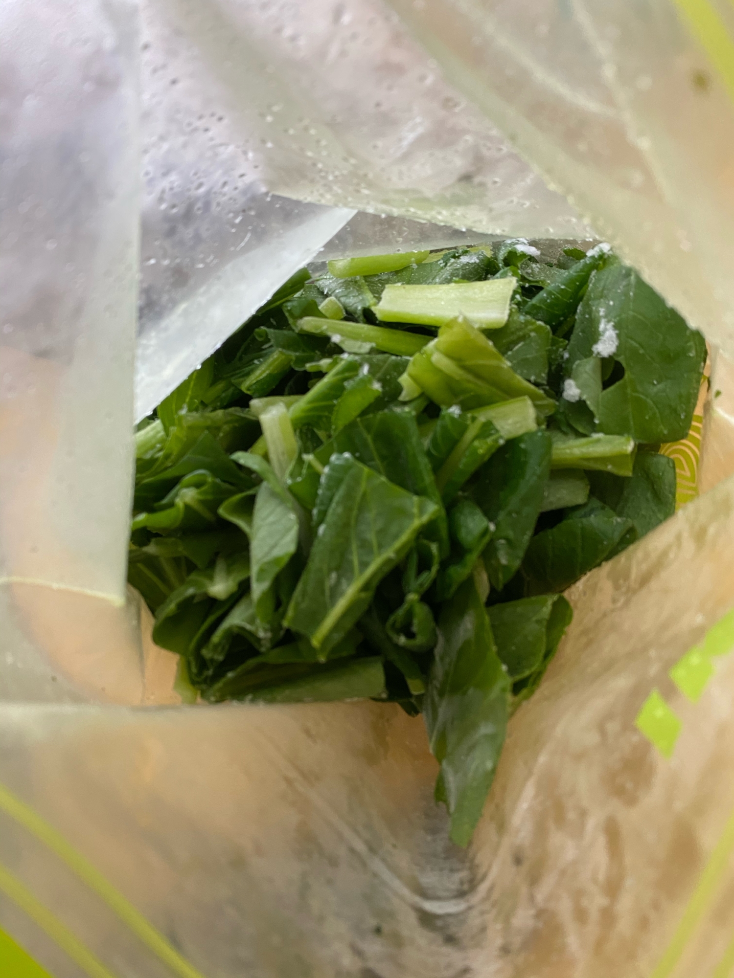 葉物野菜の冷凍