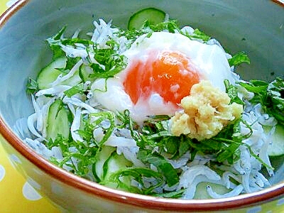 しらす＆きゅうりの温玉のっけ丼