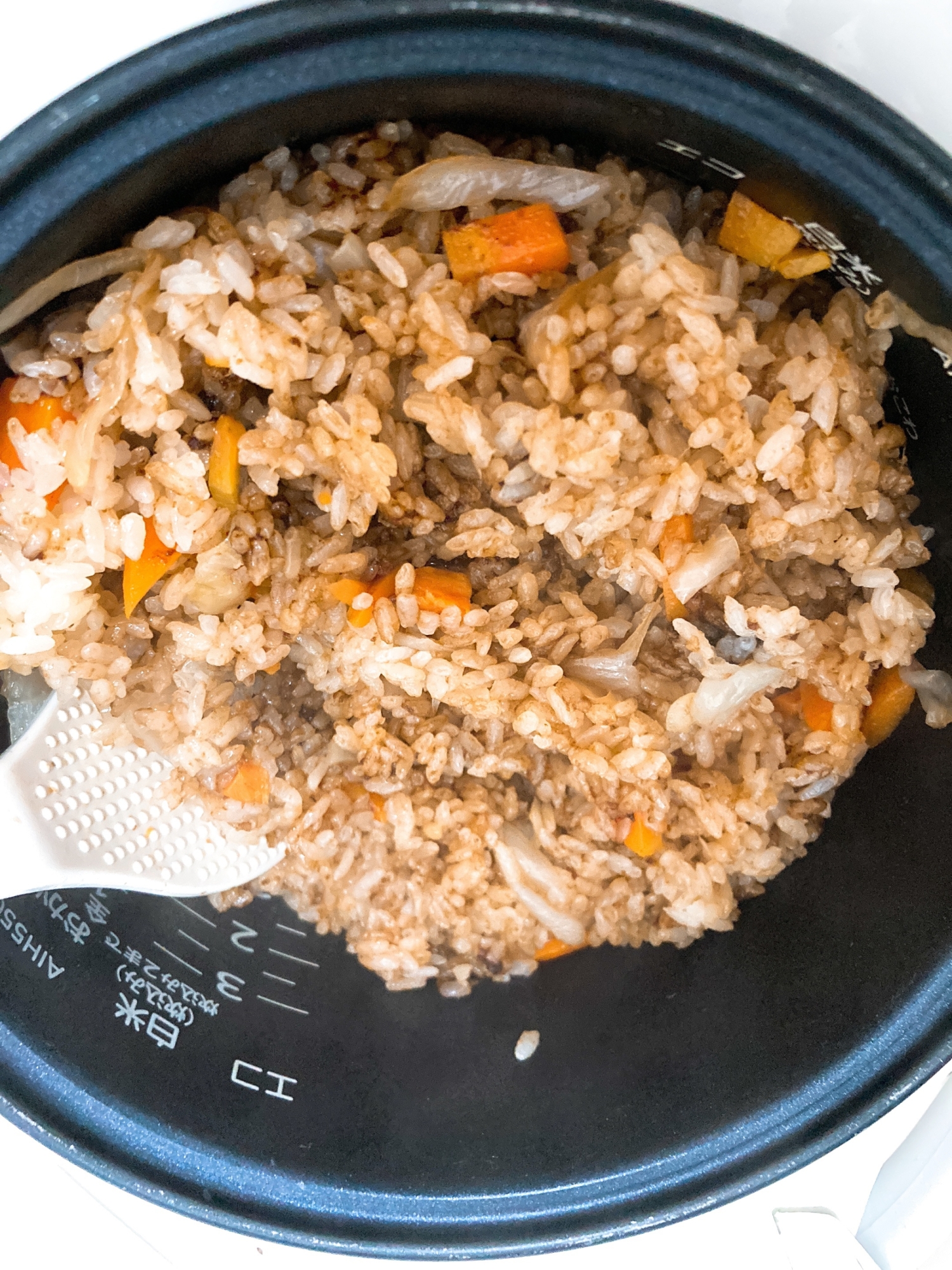 ハヤシごはん