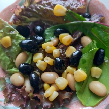 黒豆、大豆、コーンのレタスサラダ