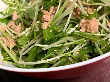 とまらない！水菜とシーチキンのサラダ