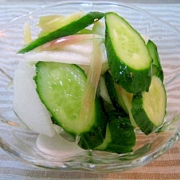 白だしで簡単 キュウリと大根の浅漬け レシピ 作り方 By ミルク白うさぎ 楽天レシピ 白だしで簡単 キュウリと大根の浅漬け レシピ 作り方 By ミルク白うさぎ 楽天レシピ