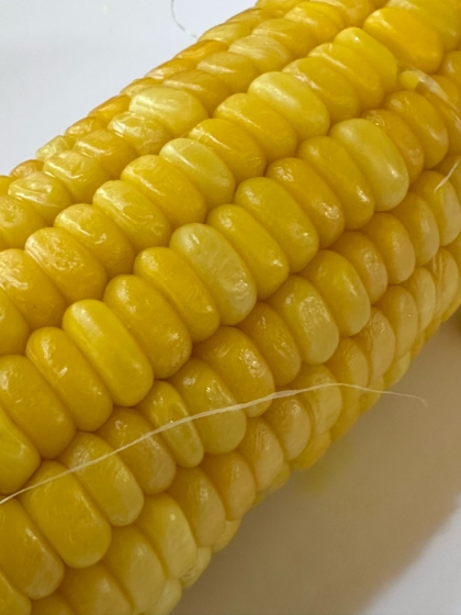 とうもろこし 丸ごと皮のまま レンジで簡単おいしい