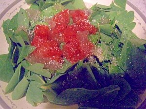 沖縄野菜 サクナのサラダ レシピ 作り方 By 蟹大好き人間 楽天レシピ