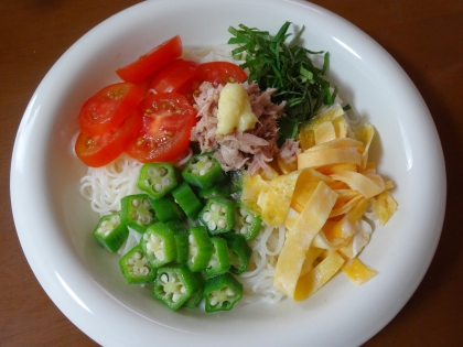 夏バテ対策♪食欲がない時にアレンジ素麺！