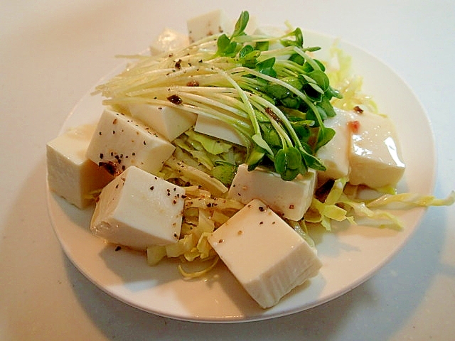 キャベツと豆腐とかいわれ大根のピエトロサラダ