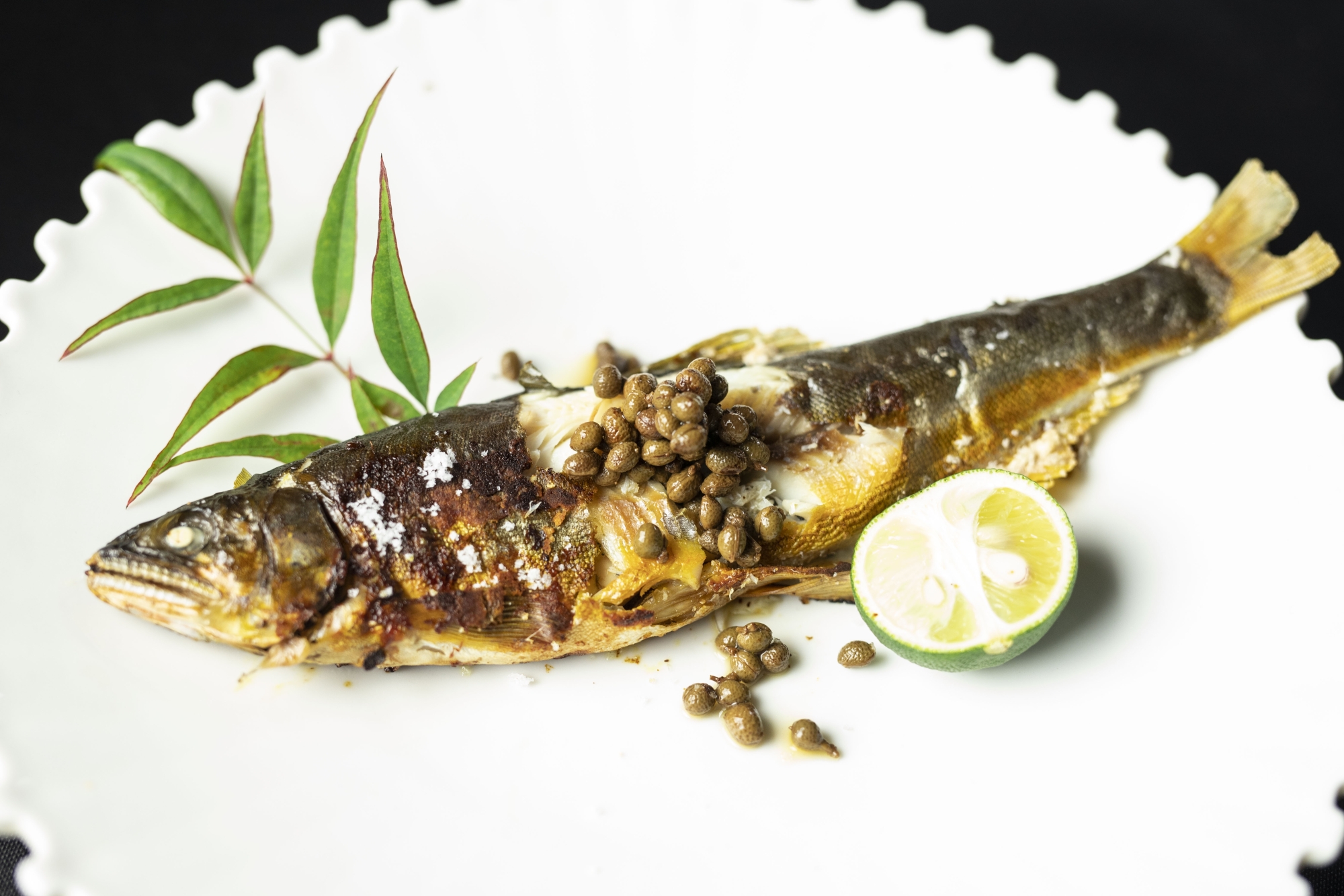 フライパンでできる アユの塩焼き レシピ 作り方 By ヒダカラ商店 楽天レシピ フライパンでできる アユの塩焼き レシピ 作り方 By ヒダカラ商店 楽天レシピ