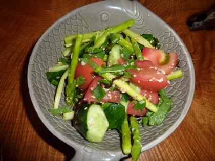 アスパラと大葉ときゅうりとトマトのポン酢ごま和え