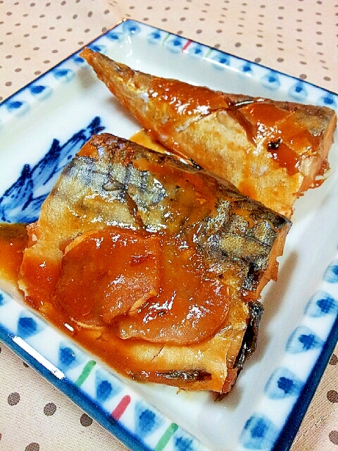 ✿焼き鯖の味噌煮❤