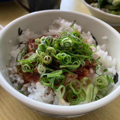 しょうがもネギも大好き♡暑い日が続くと元気の出る食材が嬉しいʕ ꈍᴥꈍʔレシピありがとうございます*•.❥