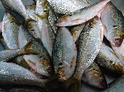 コノシロ 酢〆 レシピ 作り方 By Yoshi Original 楽天レシピ コノシロ 酢〆 レシピ 作り方 By Yoshi Original 楽天レシピ