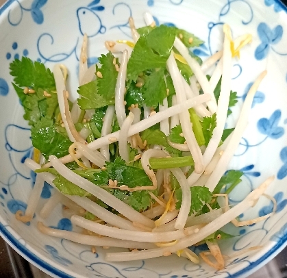 もやしとパクチーのエスニックサラダ