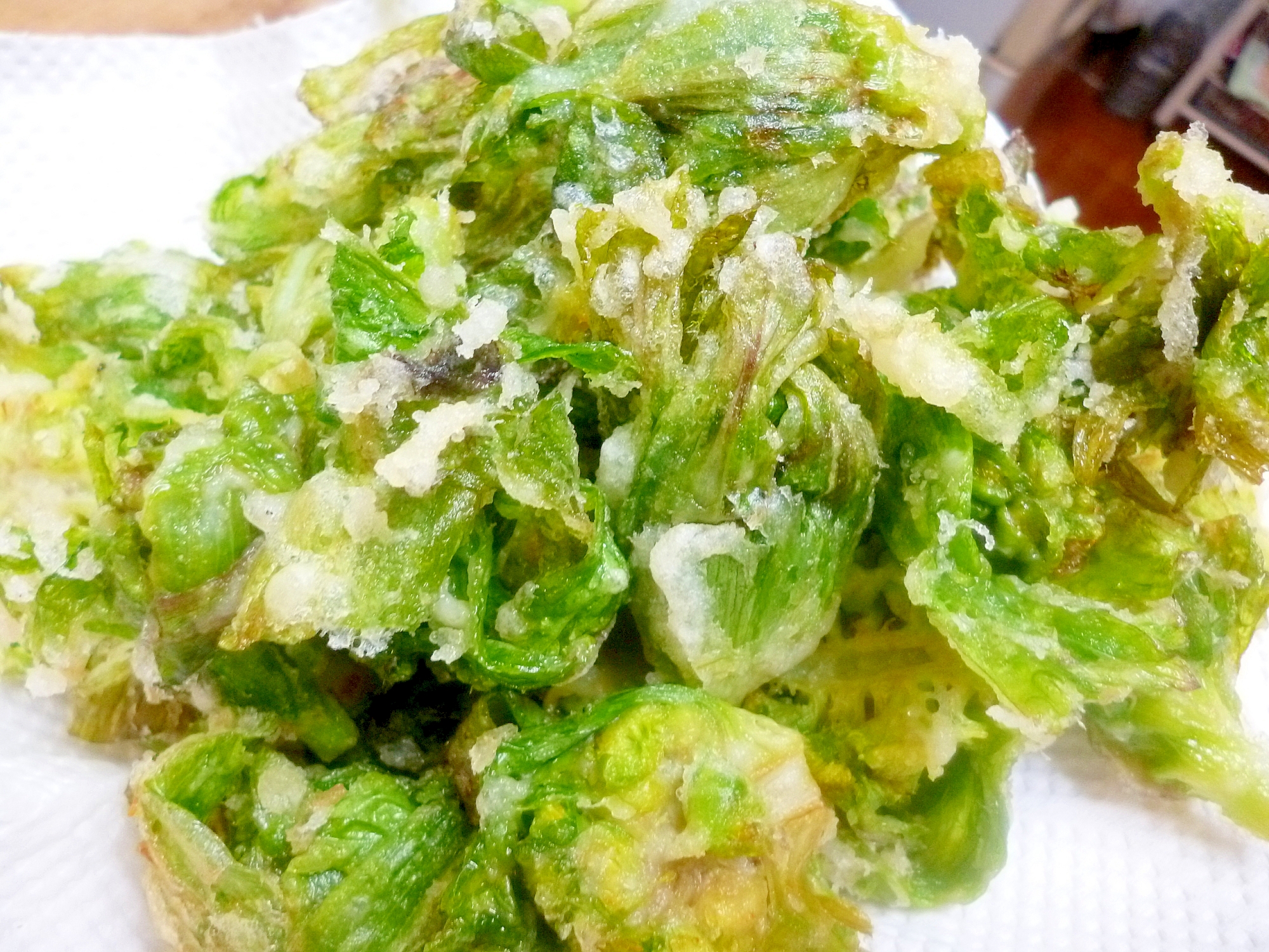 ふきのとう の 天ぷら ふきのとうの天ぷらを作るときの下処理と揚げ方のコツ Ofertadalu Com Br ふきのとう の 天ぷら ふきのとうの天ぷらを作るときの下処理と揚げ方のコツ Ofertadalu Com Br