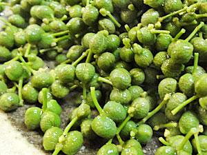 山椒の実のアク抜き 冷凍保存 醤油漬け レシピ 作り方 By Leopoo 楽天レシピ 山椒の実のアク抜き 冷凍保存 醤油漬け レシピ 作り方 By Leopoo 楽天レシピ