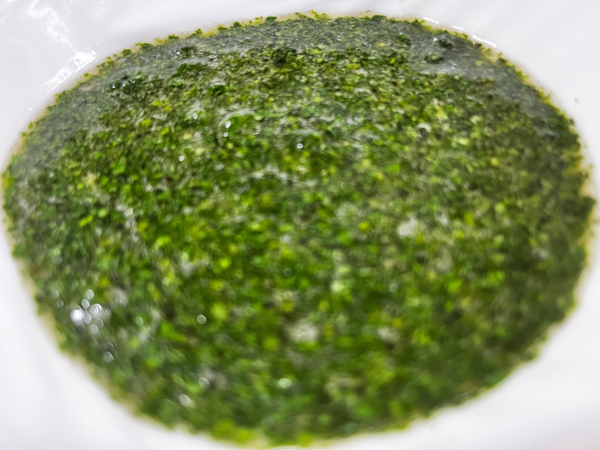 エジプトのモロヘイヤスープ