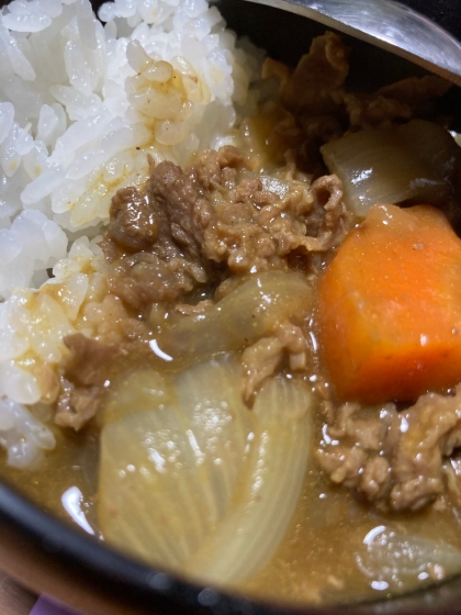 一度に牛丼&カレー☆