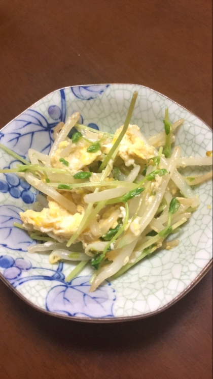 豚肉豆苗もやしの卵炒め