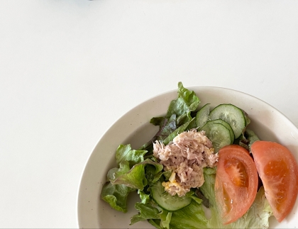 レタス、トマト、きゅうり、ツナのサラダ