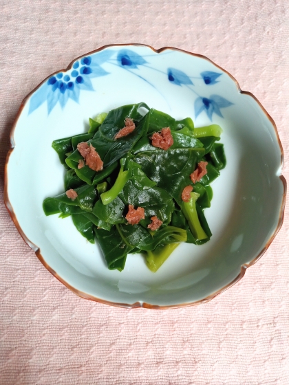 簡単にとても美味しく頂きました(*^^*)
年末年始からの疲れた胃に爽やかな梅がさっぱりしていて食べやすかったです♬
素敵なレシピありがとうございました♡