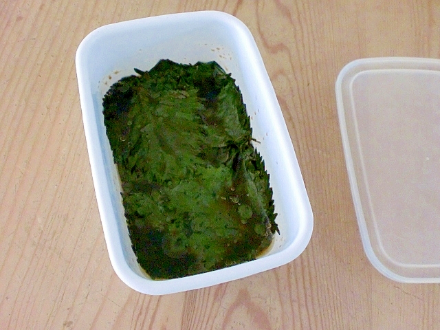 簡単 激ウマ 大葉のごま油しょうゆ漬け レシピ 作り方 By Sumippy 楽天レシピ