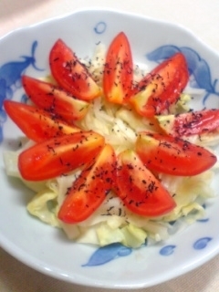 YAMAT☆大先輩に、こんなシンプルレシピがあったなんて感激！
細長いミニトマトにキャベツを敷き、ゆかりちゃんを余すことなく
美味しくいただきました(≧▽≦)♪