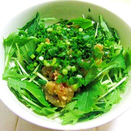 2ページ目 トビウオレシピ 作り方の人気順 簡単料理の楽天レシピ 2ページ目 トビウオレシピ 作り方の人気順 簡単料理の楽天レシピ