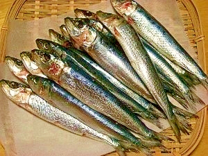 イワシの丸干し レシピ 作り方 By ブルーボリジ 楽天レシピ イワシの丸干し レシピ 作り方 By ブルーボリジ 楽天レシピ