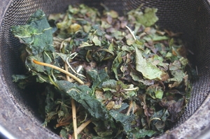 カルシウム補給に☆手作り桑の葉茶