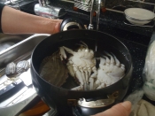 渡り蟹の韓国風ピリ辛スープ コッケタン レシピ 作り方 By 猫好きじだらく主婦 楽天レシピ 渡り蟹の韓国風ピリ辛スープ コッケタン レシピ 作り方 By 猫好きじだらく主婦 楽天レシピ