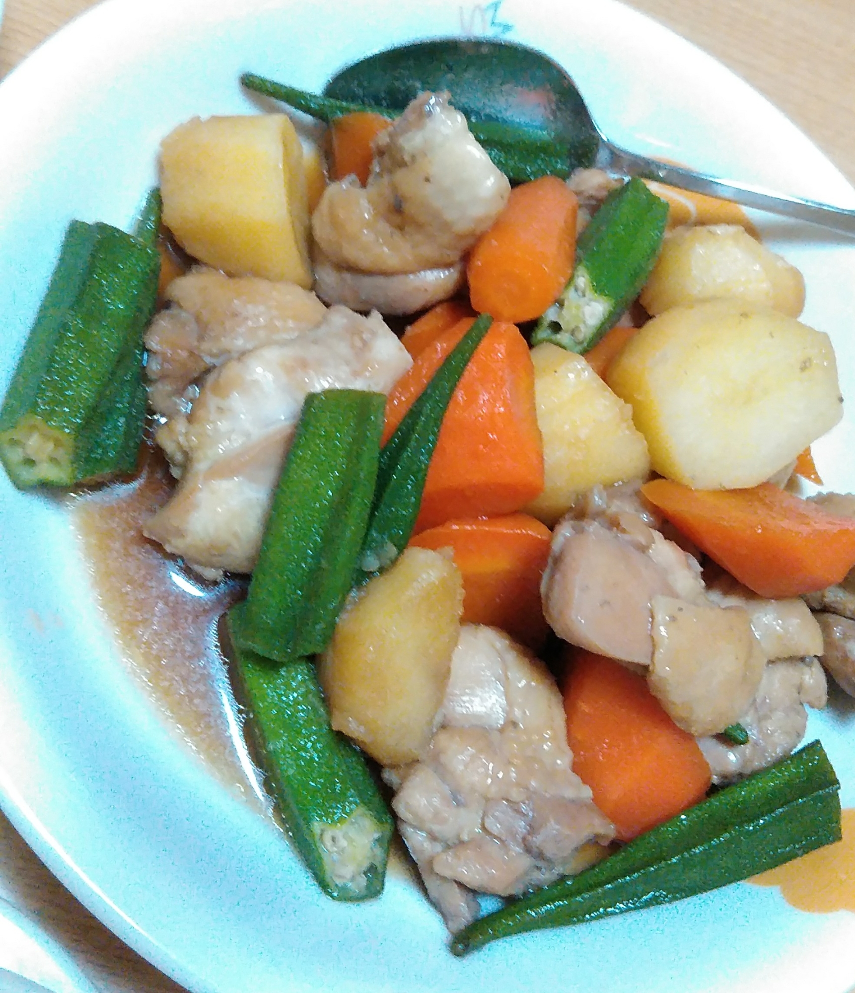 いろいろ野菜と鶏肉の煮物