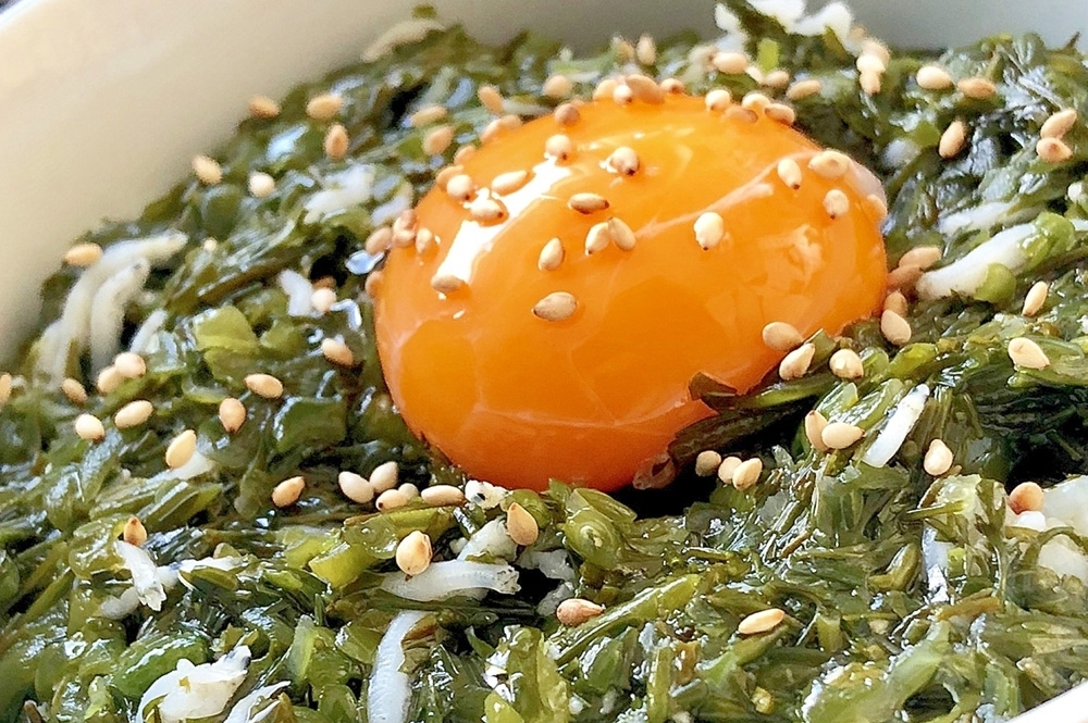 手軽に腸活♪ヘルシーなネバネバ食材「アカモク」を食卓に取り入れよう