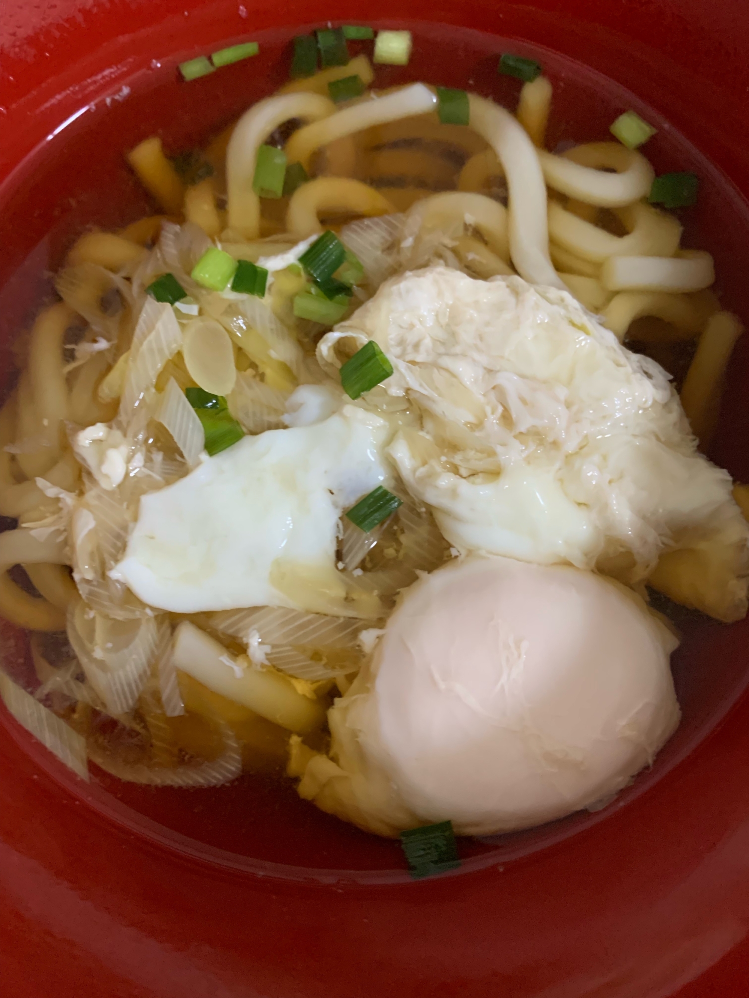 白ネギと卵の優しい味のうどん