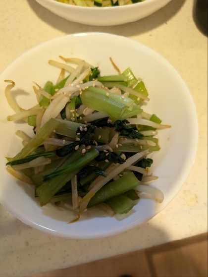 ごま香る～もやしと小松菜の白だし和え