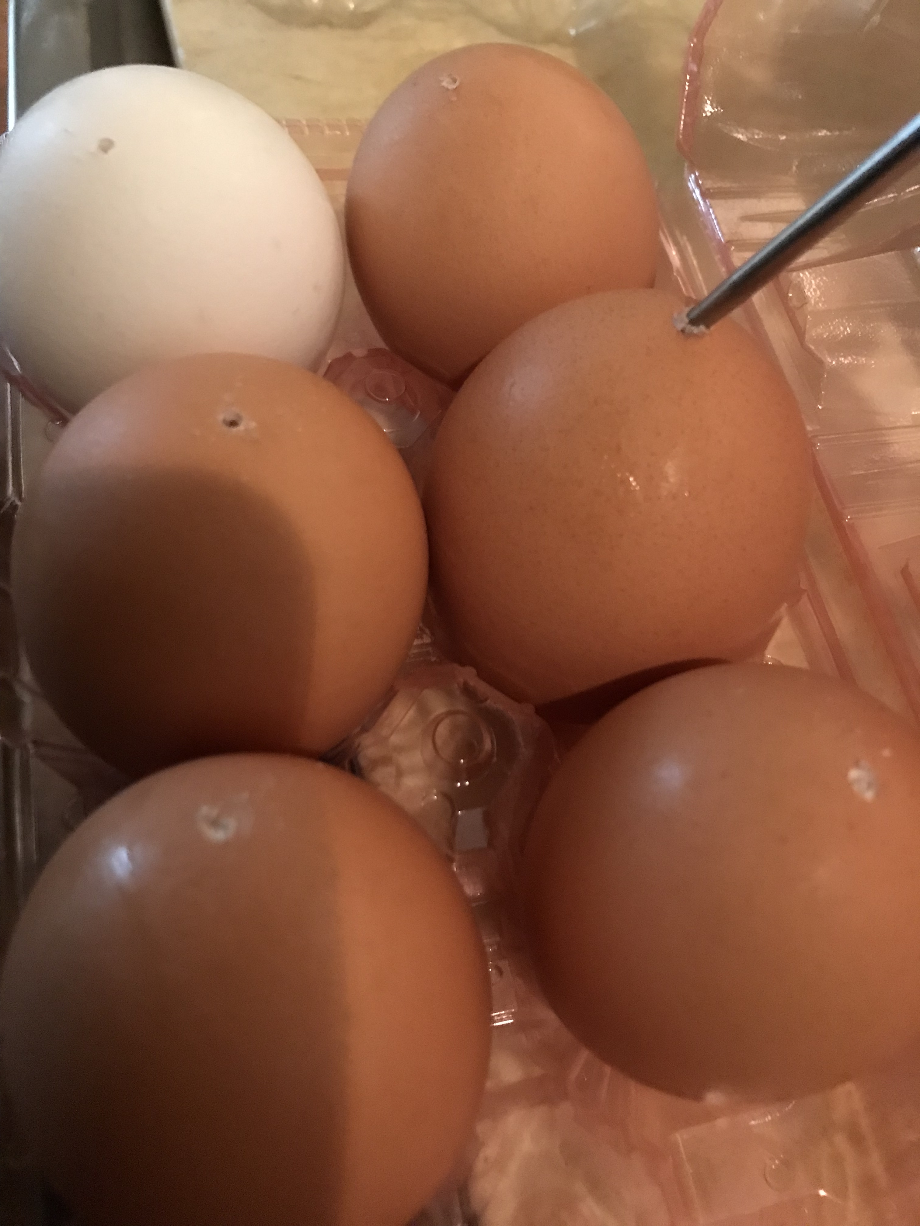 簡単 コンビニ風 ゆで卵 レシピ 作り方 By 空色ぱんだちゃん 楽天レシピ