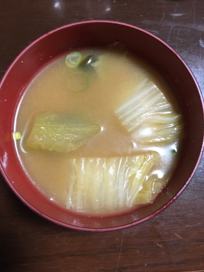 ネギと白菜と茄子の味噌汁