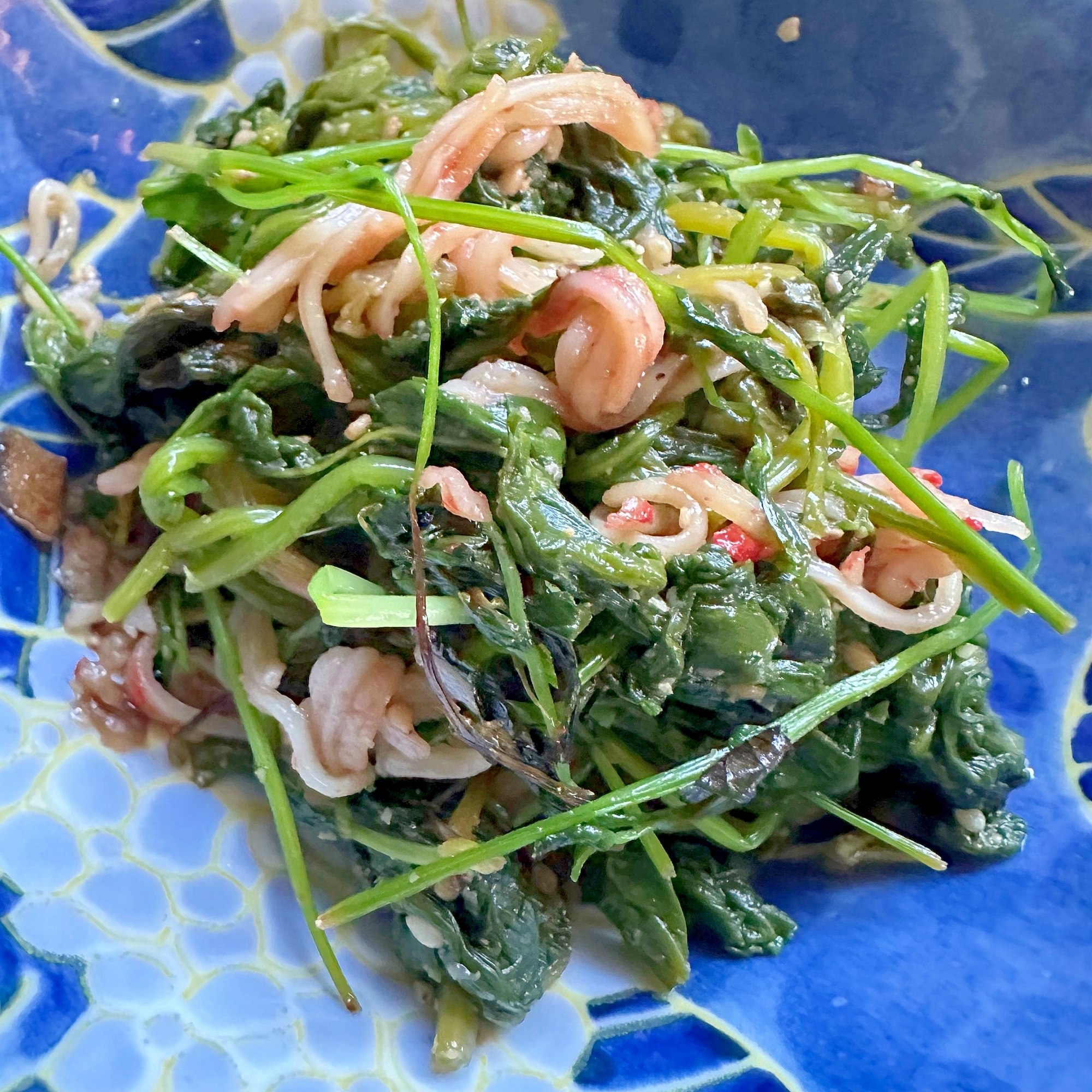 ほうれん草と豆苗のごまあえ‎ ˖٭.‎˖٭