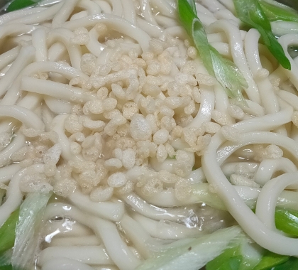 ネギたぬきうどん