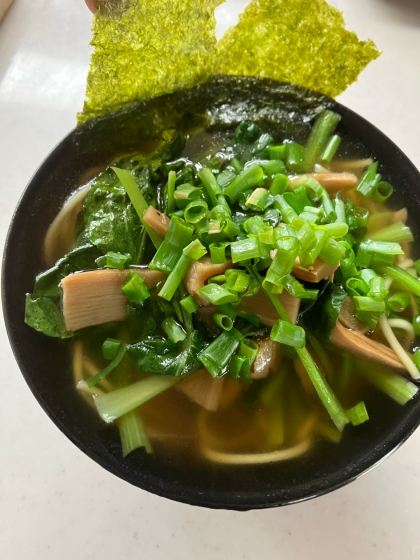 メンマとねぎの味噌ラーメン