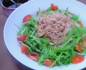 水菜とツナの簡単(ズボラ?)缶ドレッシングでサラダ