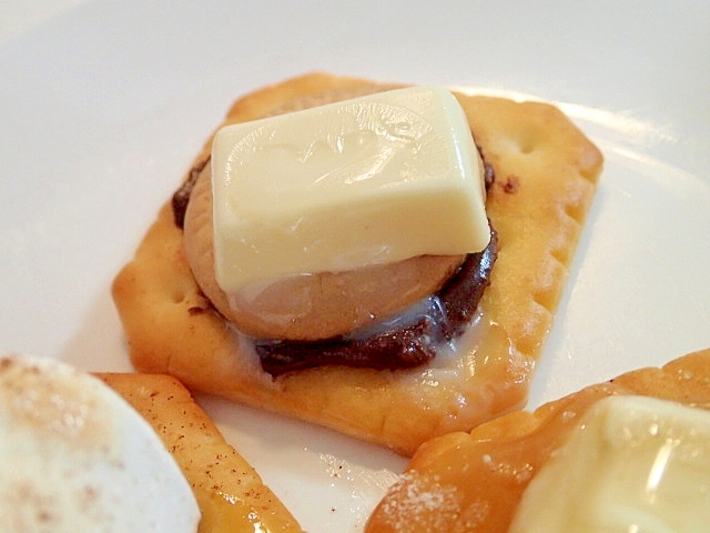 2種のチョコとビスケットの焼きクラッカー